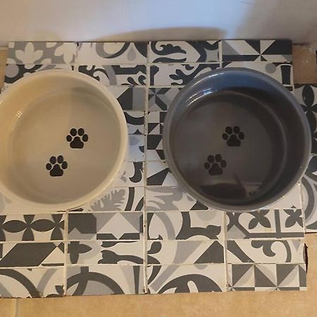 Casa Tatas Precioso Piso Recien Reformado Διαμέρισμα El Barraco Εξωτερικό φωτογραφία